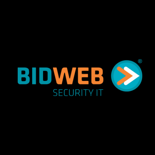 Bidweb: Reduzindo Riscos, Conectando Estratégias
